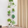 Etagères plantes blanche dans un salon