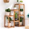 Etagere de Plante