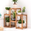 Plante Etagere