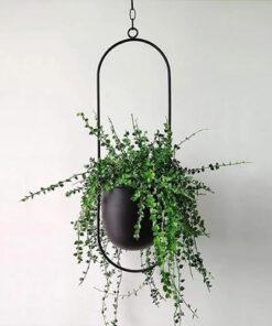 plante suspension interieur en acier noir avec une plante dedans