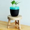 tabouret en bois avec une plante