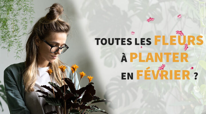 femme qui plante une fleur