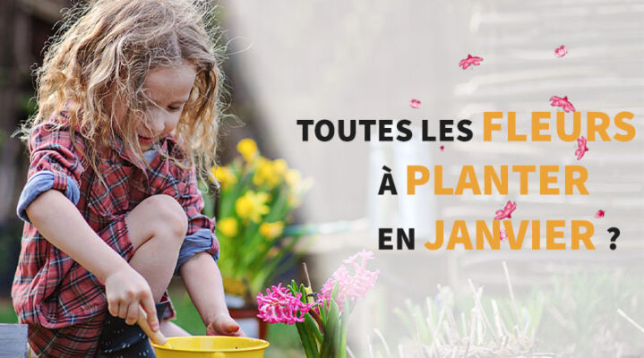 fille qui plante une fleur