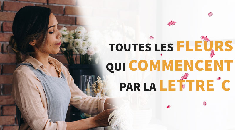 femme qui plante des fleurs dans son salon