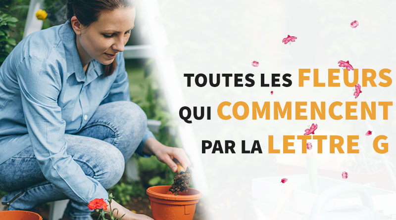 femme qui plante des fleurs