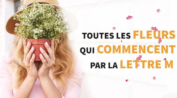 femme qui tient un pot de fleur devant son visage