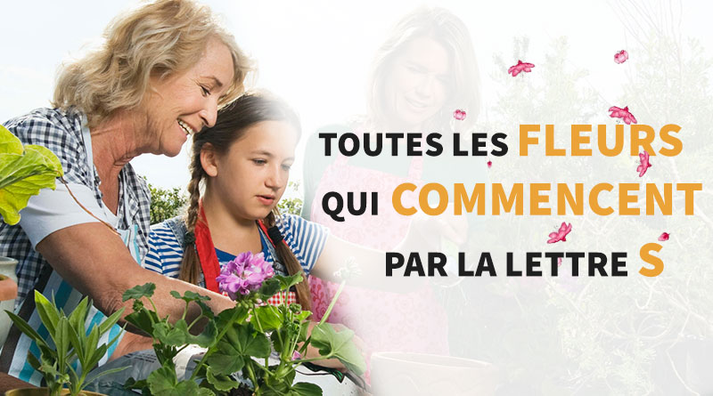 femme qui plante des fleurs