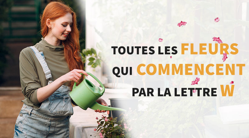 femme qui arrose ses plantes en extérieur