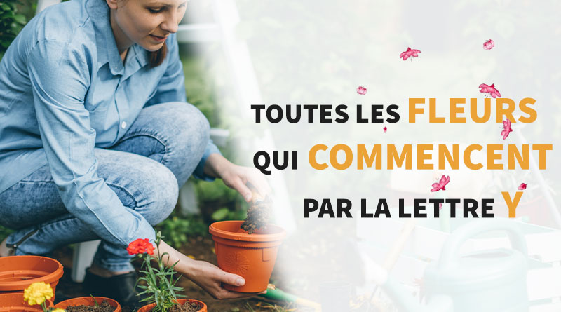 femme qui plante dans un pot de fleur