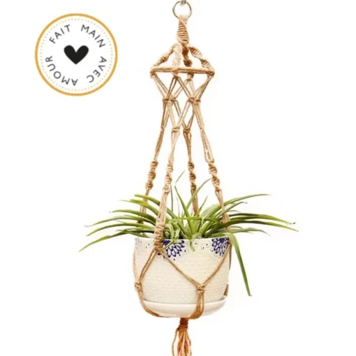 Suspension Originale pour Plante