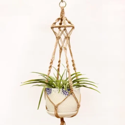 Suspension Originale pour Plante – Image 2