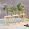 un porte plante scandinave en bois beige avec cinq vases en verre