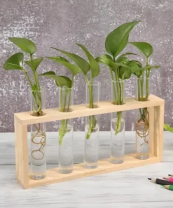 un porte plante scandinave en bois beige avec cinq vases en verre