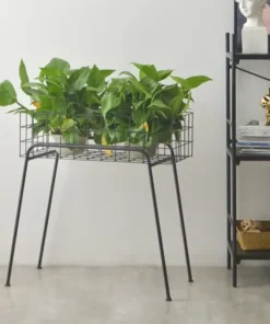 Etagere Metallique Plantes