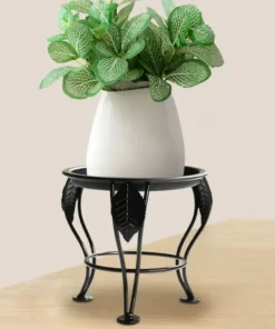 Repose Pot Plante