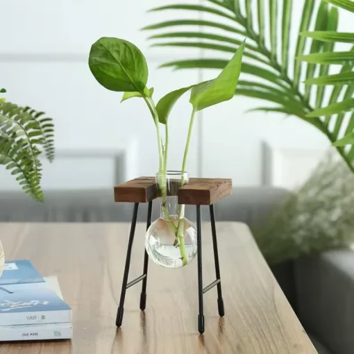 Support Bois Plante Interieur