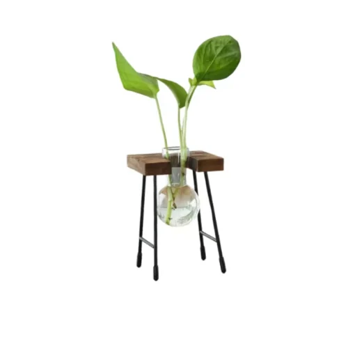 Support Bois Plante Interieur – Image 3