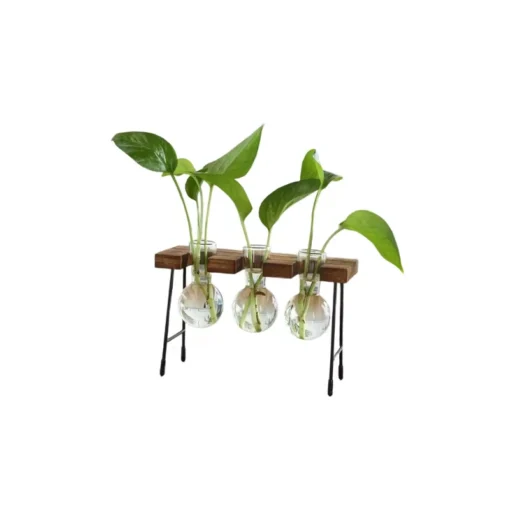 Support Plante Interieur Moderne – Image 3