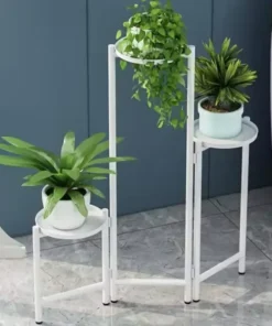 Support Plante Verte Interieur moderne