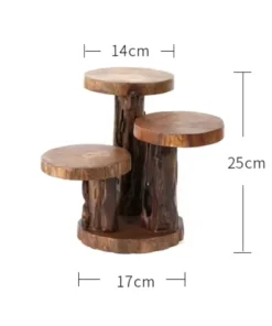 dimensions du Support Plante Verte avec des plantes