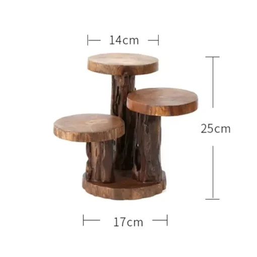 dimensions du Support Plante Verte avec des plantes