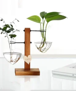 Support Plantes Vertes sur un bureau