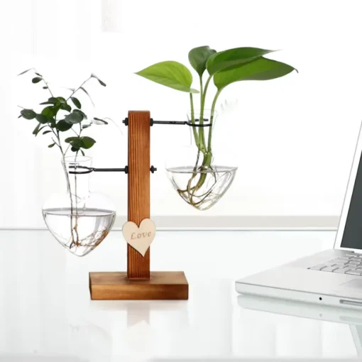 Support Plantes Vertes sur un bureau