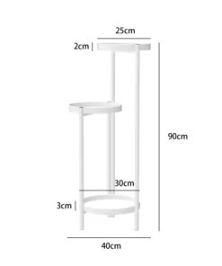 les dimensions de la Plante Piedestal