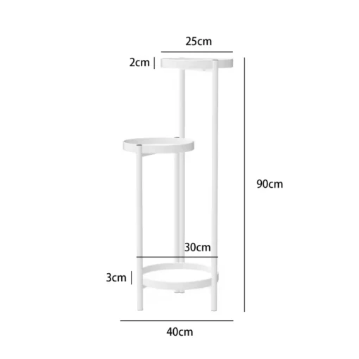 les dimensions de la Plante Piedestal