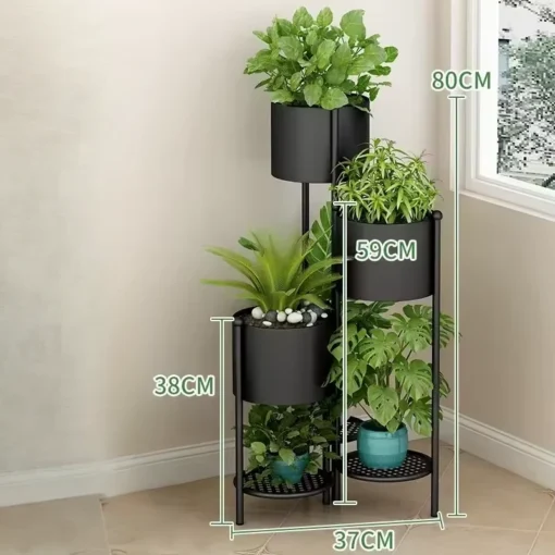 les dimensions du Piédestal pour Plante