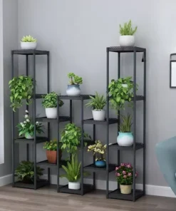 Etagere Plant