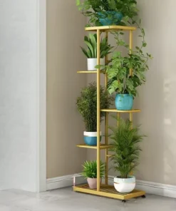 Etagere Plantes Vertes