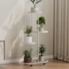 Etagère Plantes verte