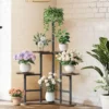 Etagere d Angle Métal pour Plantes