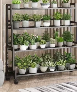 Meubles Plantes