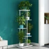 Plantes Etageres