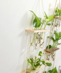 Support Bouture en intérieur