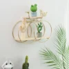 Support Mural pour Plantes Aromatiques