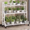 Support a Plante