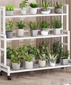 Support a Plante