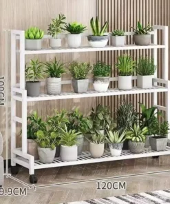 les dimensions du Support a Plante