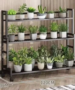 les dimensions du Support de Plantes