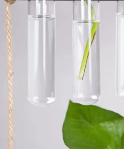 zoom sur les 3 tubes du Support Bouture