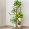 Porte-Plantes