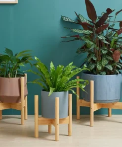 Porte Pot de Fleur Interieur