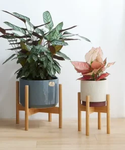 Porte Pot de Fleur Interieur en bambou