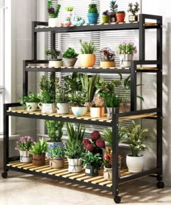 Repose Plante a Roulette
