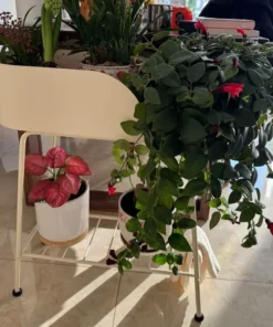 Support Pot de Fleurs Interieur de qualité