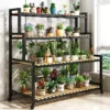 Support à Roulettes pour Plantes Extérieur