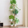 Support pour Plante